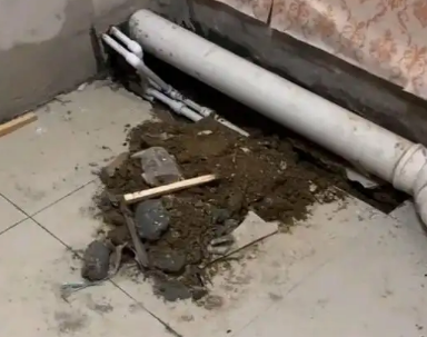 镇雄卫生间漏水检测哪家好