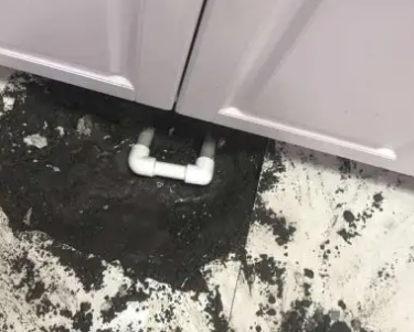 镇雄查漏水哪家好